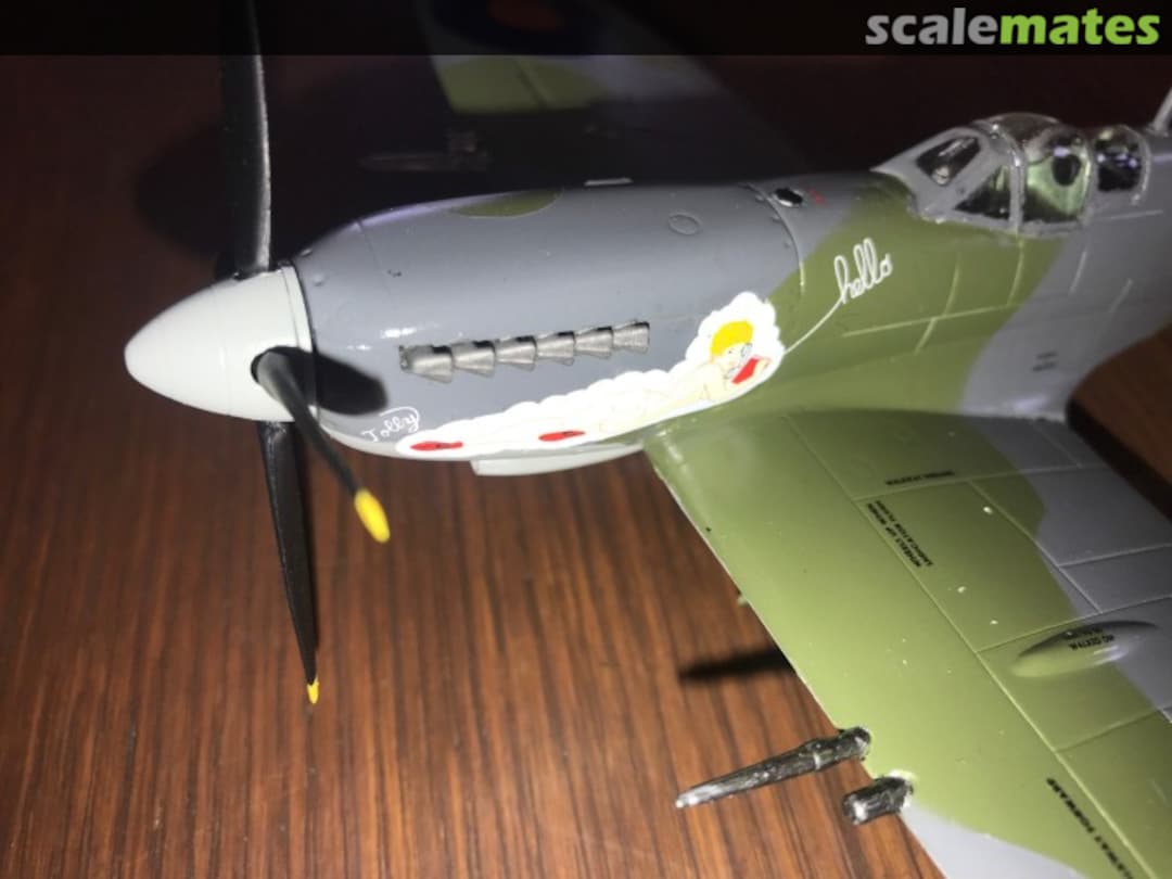 View album, image #1 View album, image #1