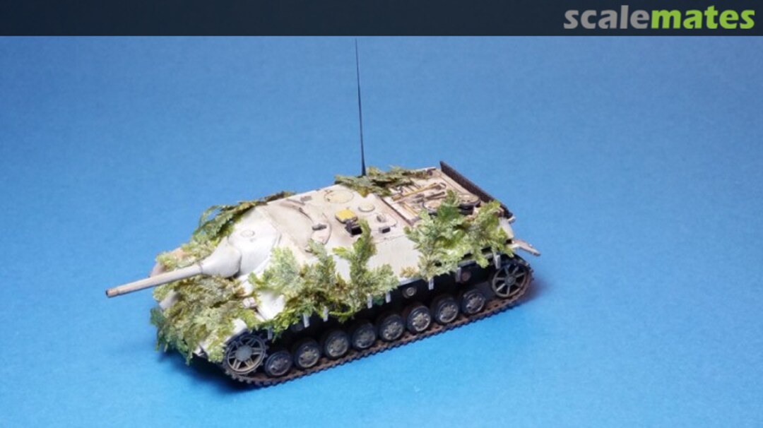 View album, image #5 View album, image #5