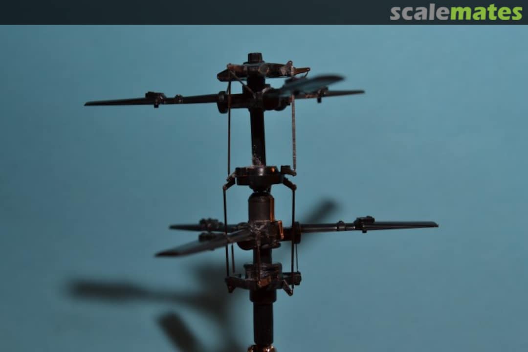 View album, image #1