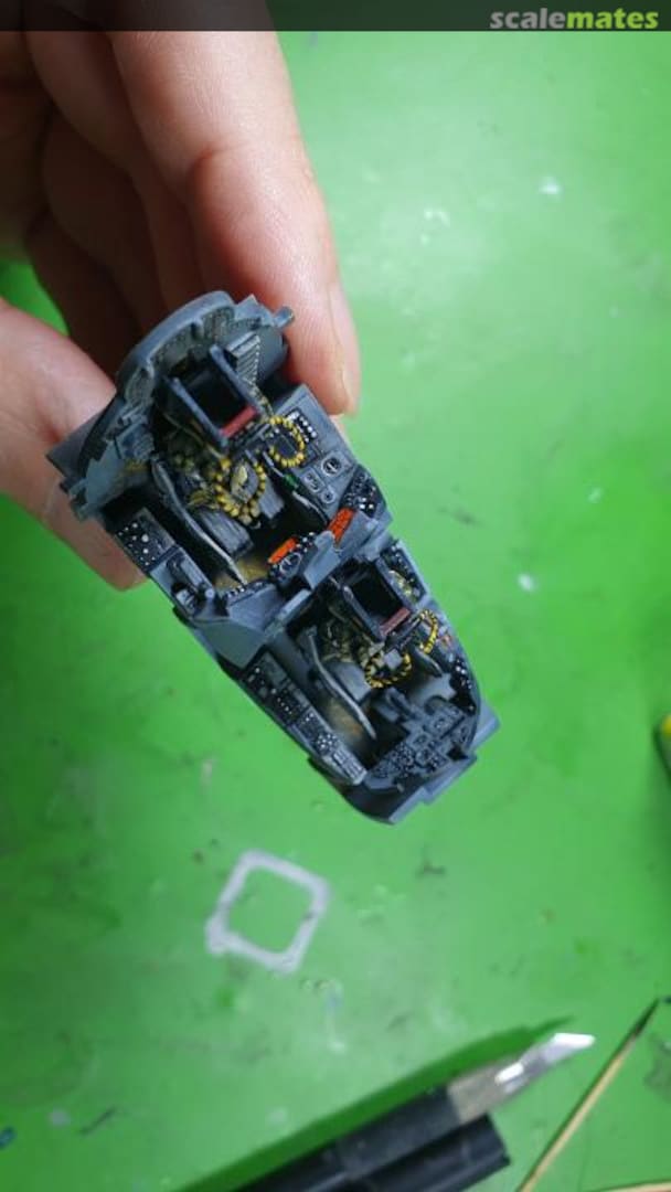 View album, image #1