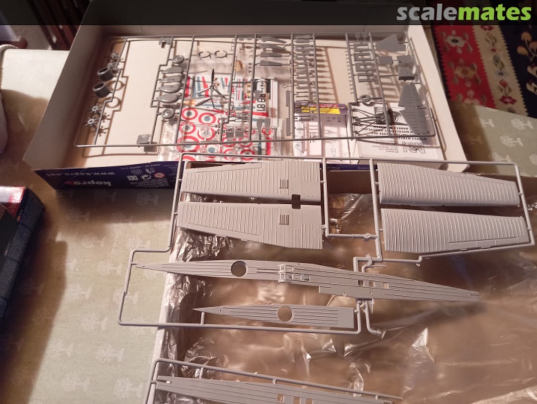 View album, image #3 View album, image #3