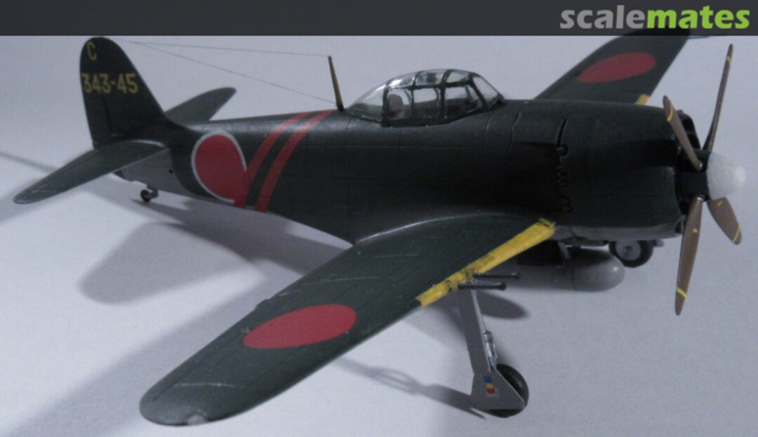 View album, image #8 View album, image #8