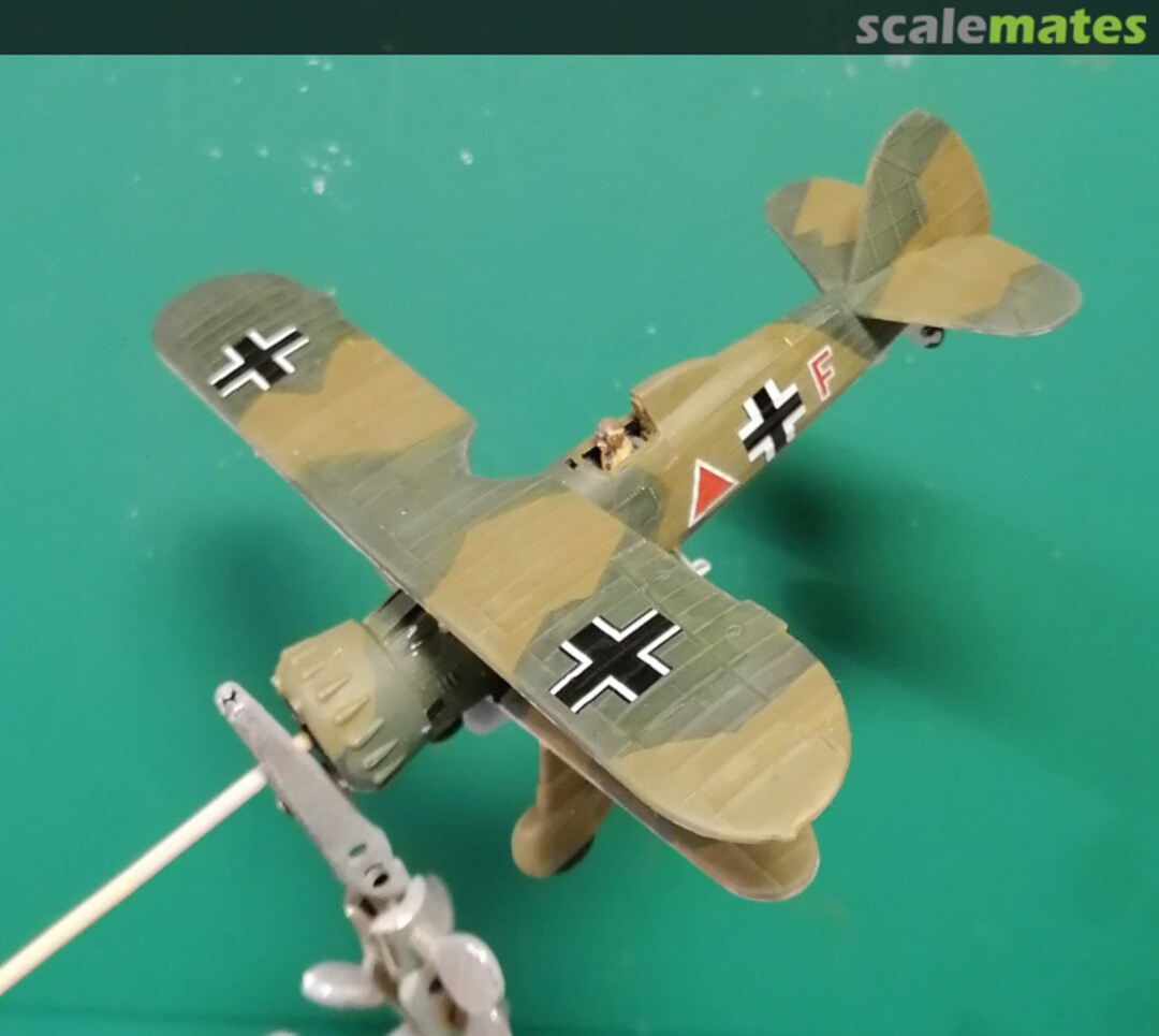 View album, image #1 View album, image #1