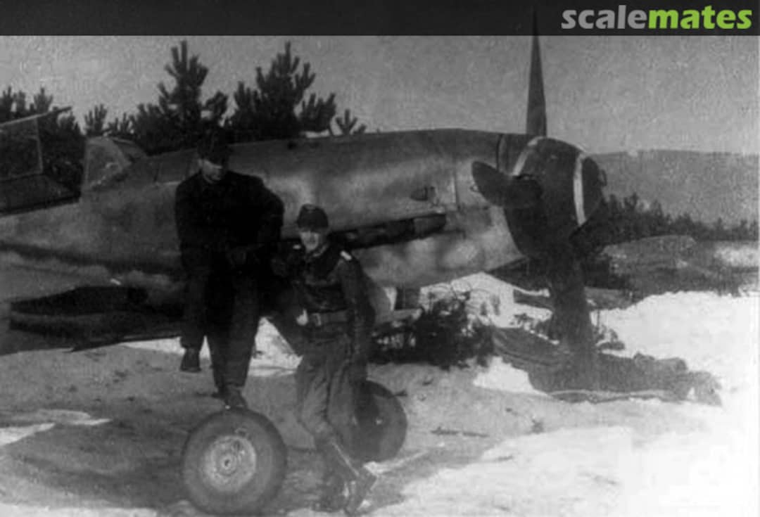 View album, image #1