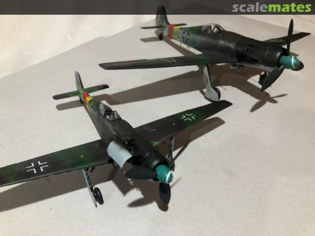 View album, image #1 View album, image #1