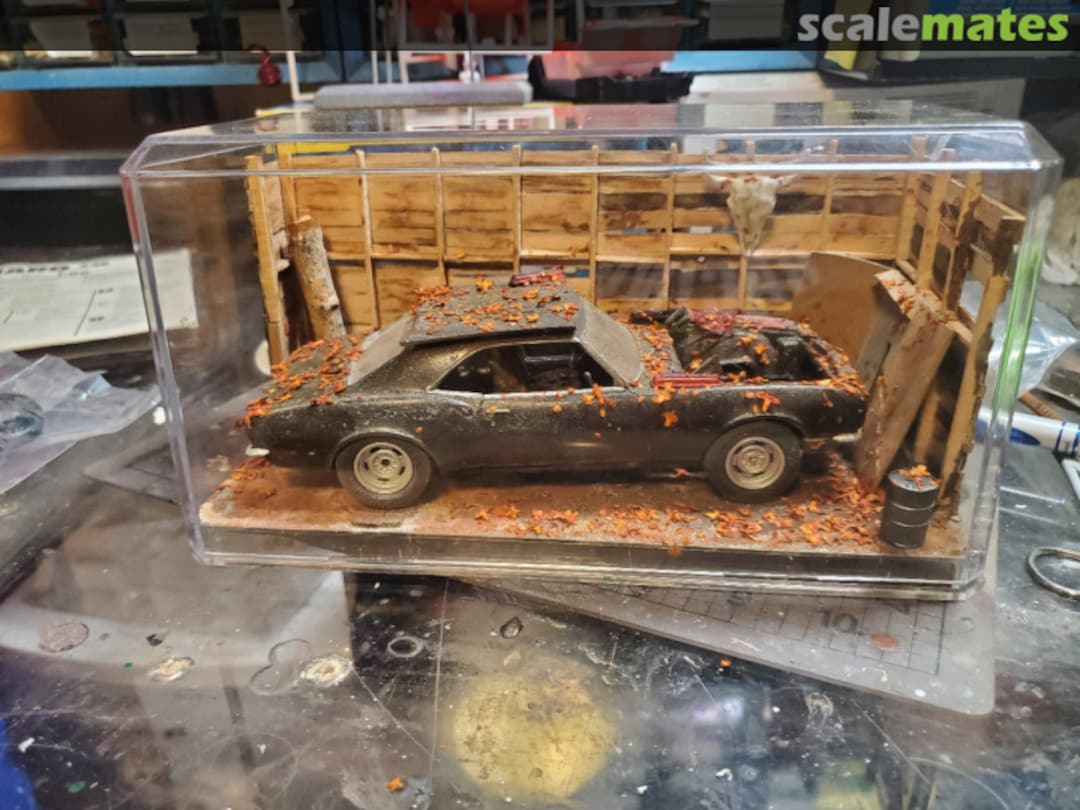 View album, image #69