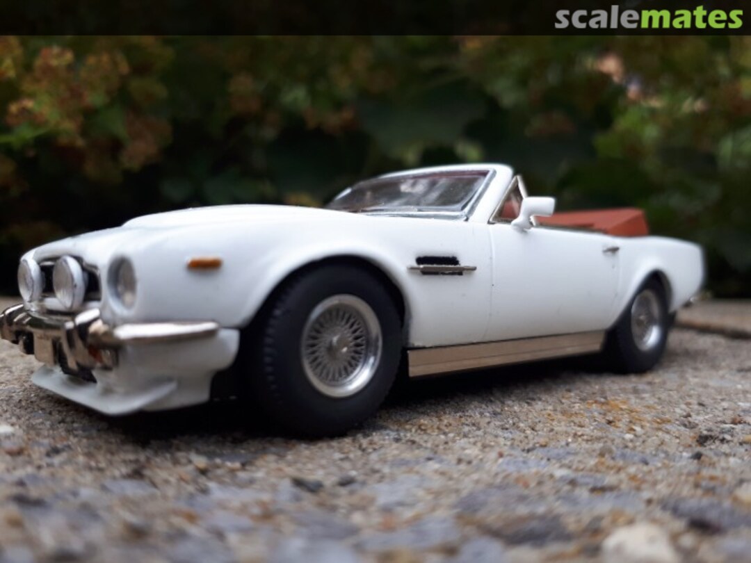 View album, image #3