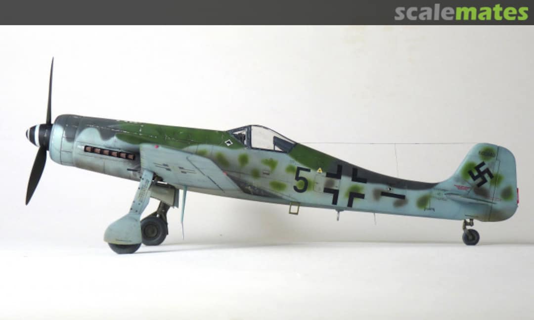 View album, image #14 View album, image #14