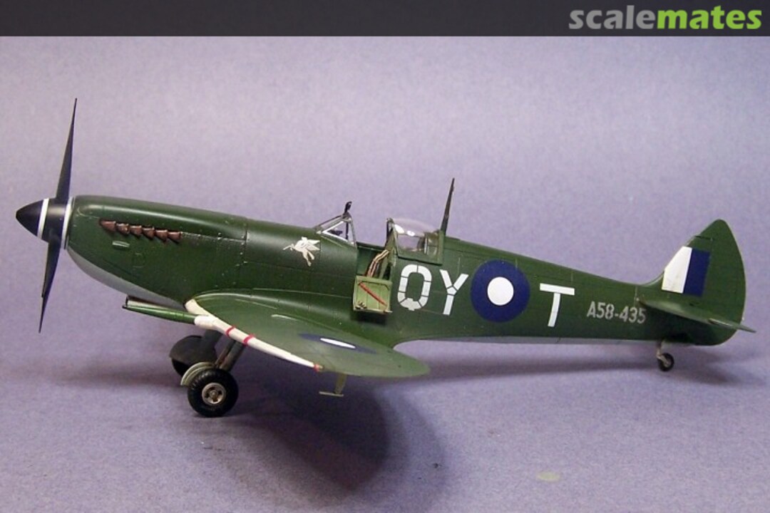 View album, image #1 View album, image #1