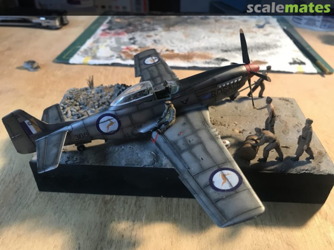 View album, image #1 View album, image #1