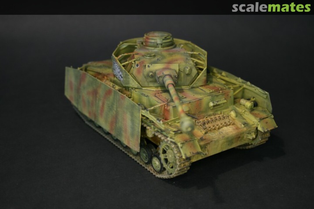 View album, image #1 View album, image #1