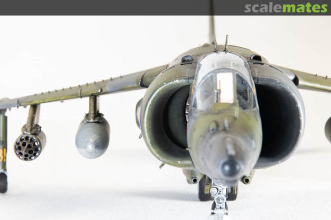 View album, image #66 View album, image #66