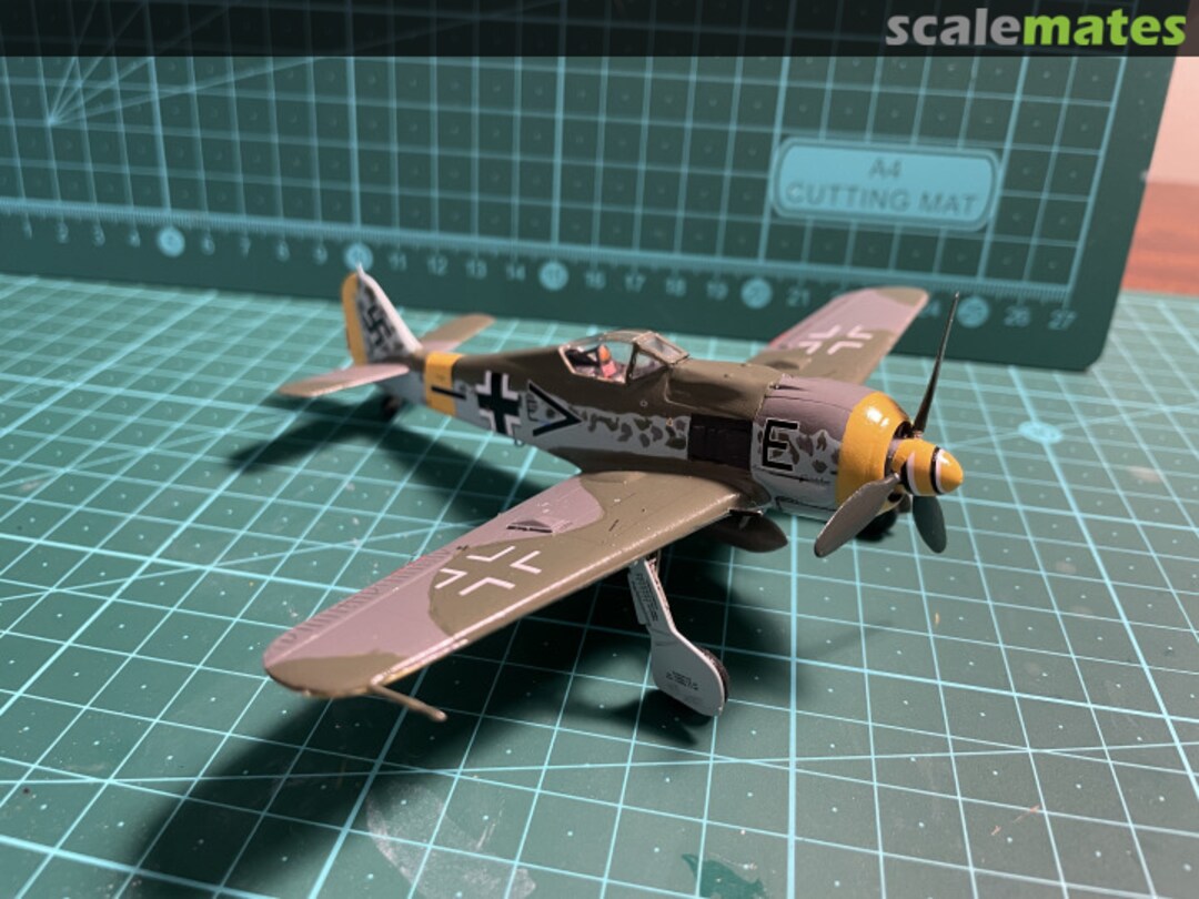 View album, image #1 View album, image #1