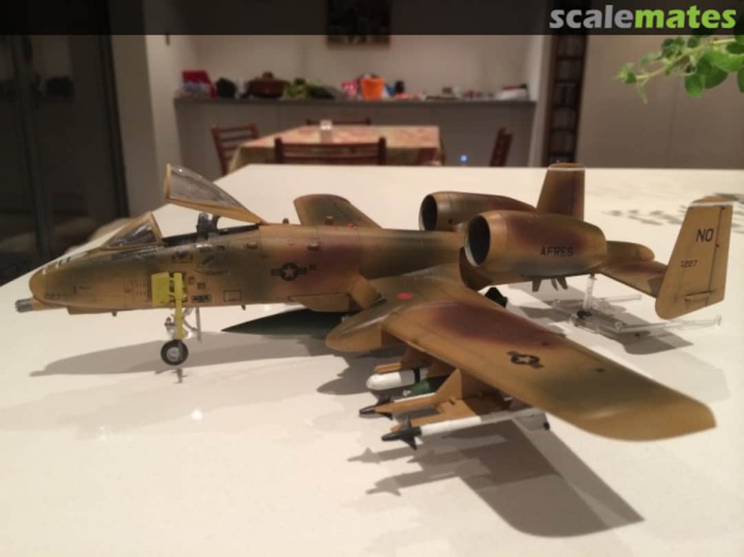 View album, image #1