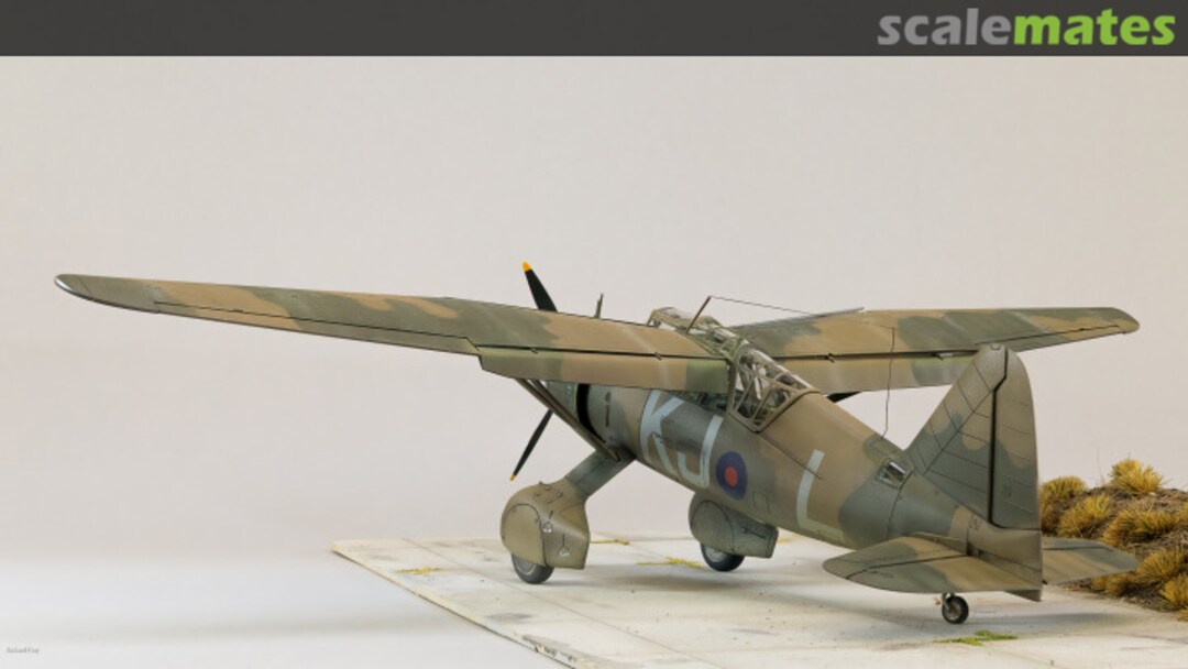 View album, image #1