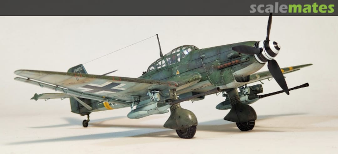 View album, image #1 View album, image #1