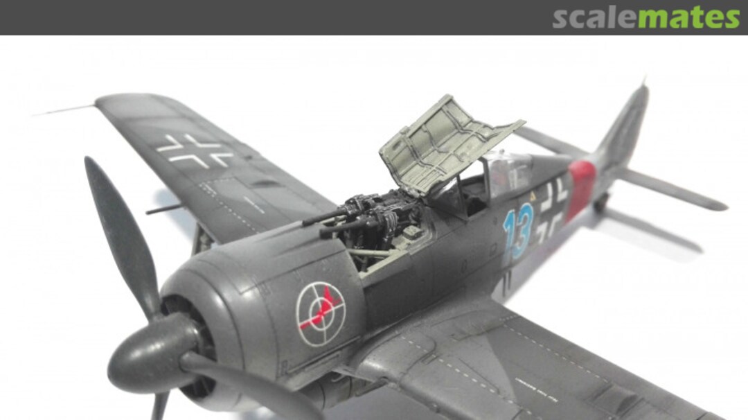 View album, image #1 View album, image #1