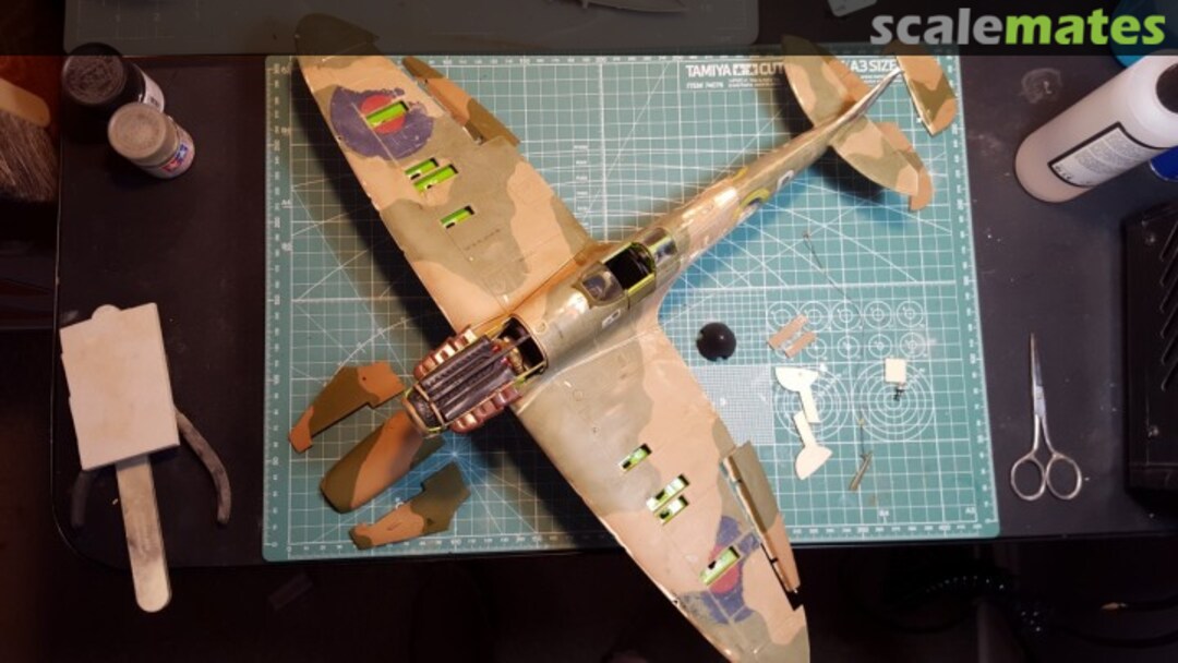 View album, image #1 View album, image #1