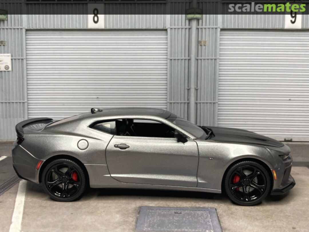 View album, image #5 View album, image #5