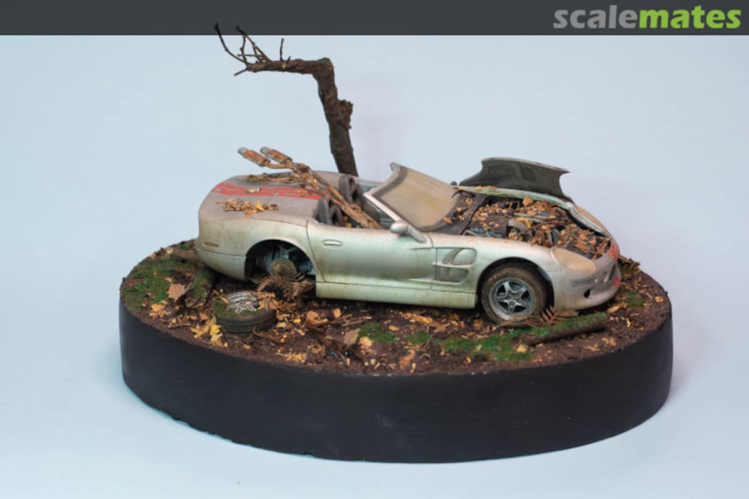 View album, image #1