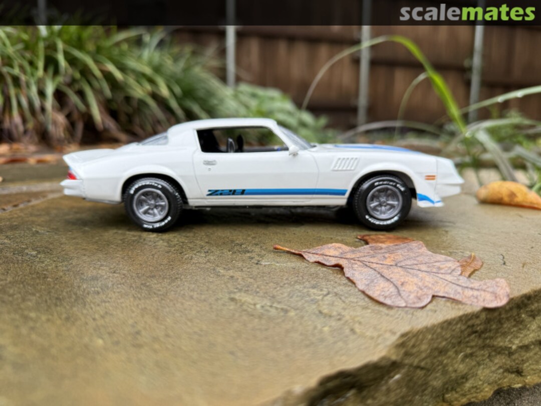 View album, image #1 View album, image #1