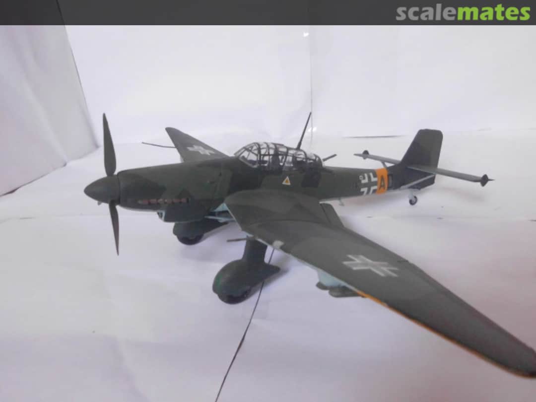 View album, image #1 View album, image #1