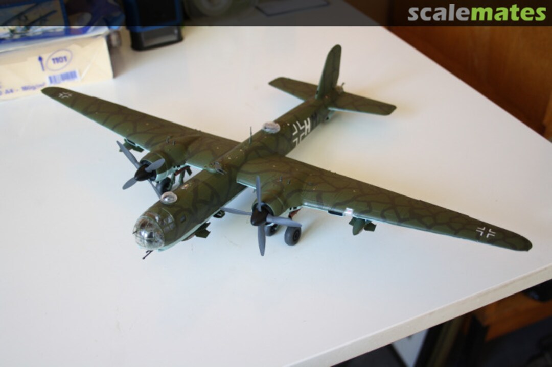 View album, image #1 View album, image #1