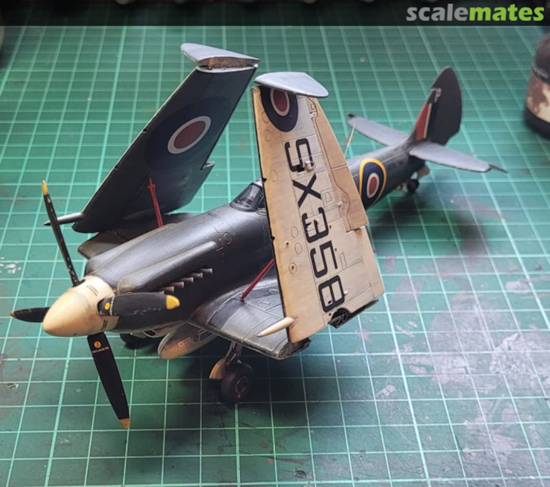 View album, image #71 View album, image #71