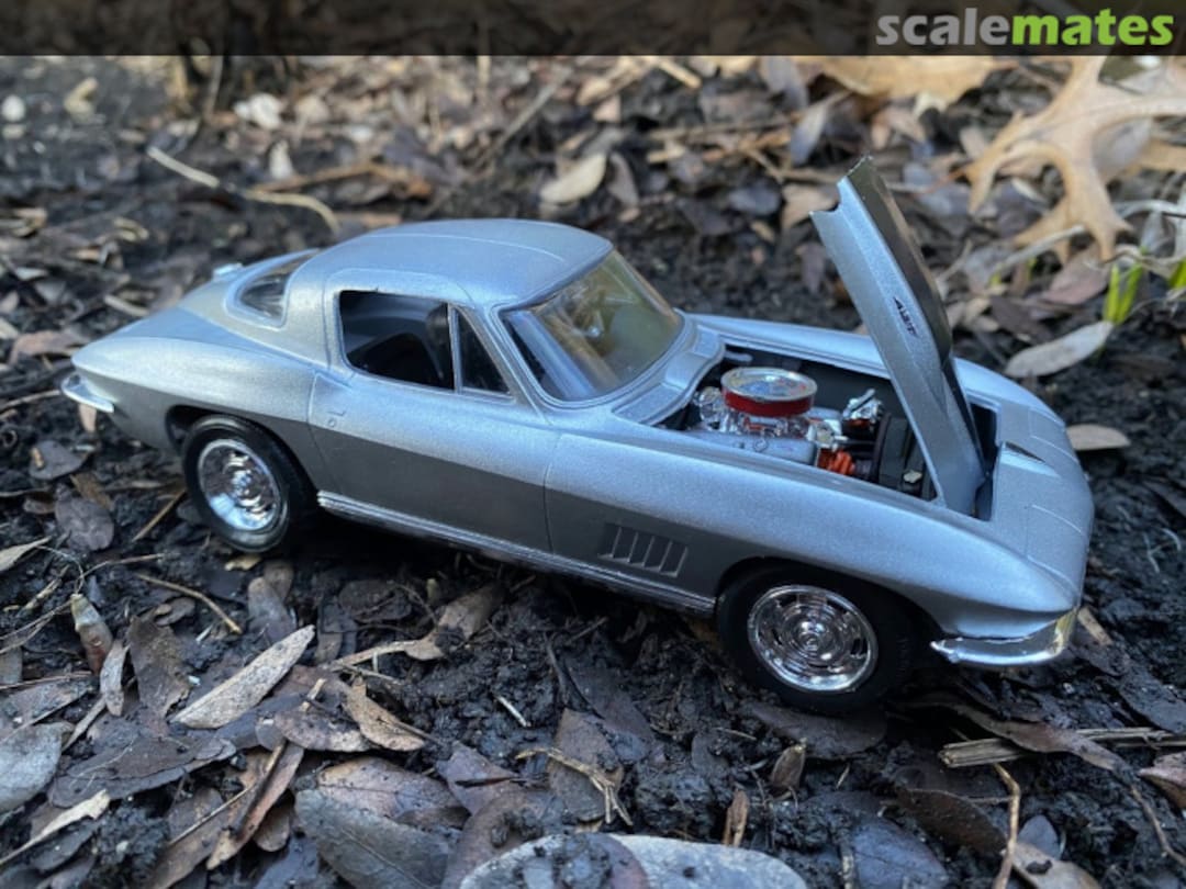 View album, image #7 View album, image #7