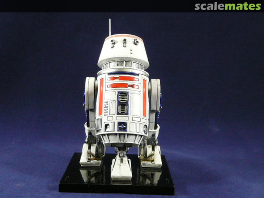 View album, image #1