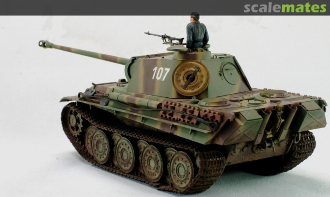 View album, image #5 View album, image #5