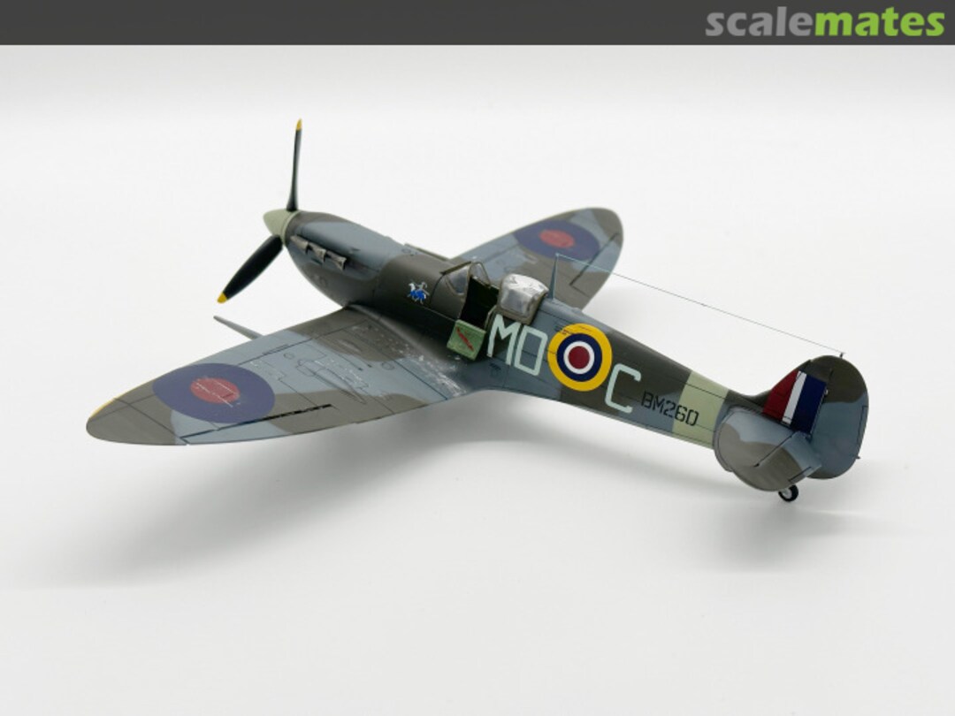 View album, image #1