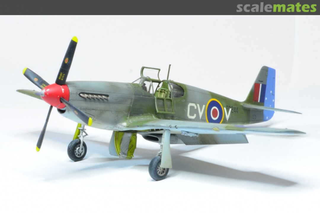 View album, image #47 View album, image #47