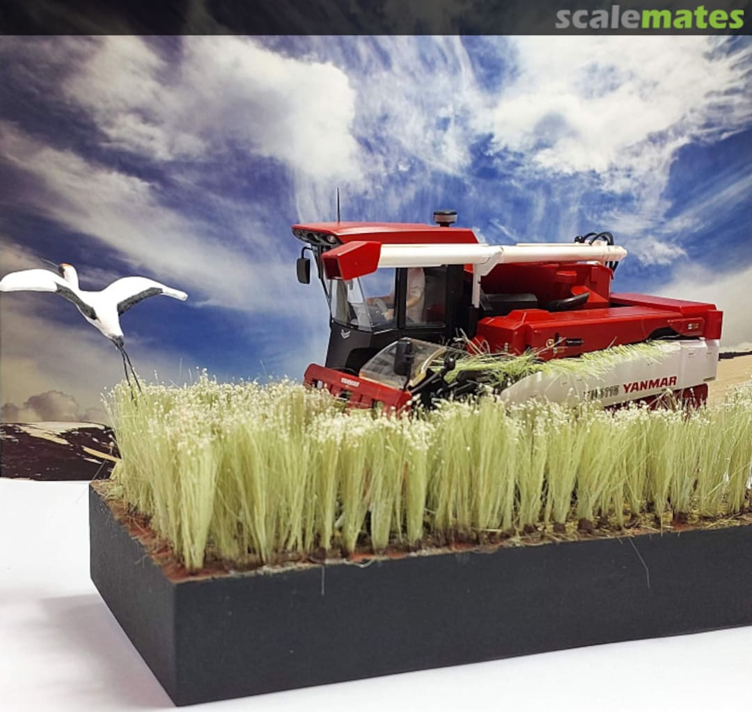 View album, image #25 View album, image #25