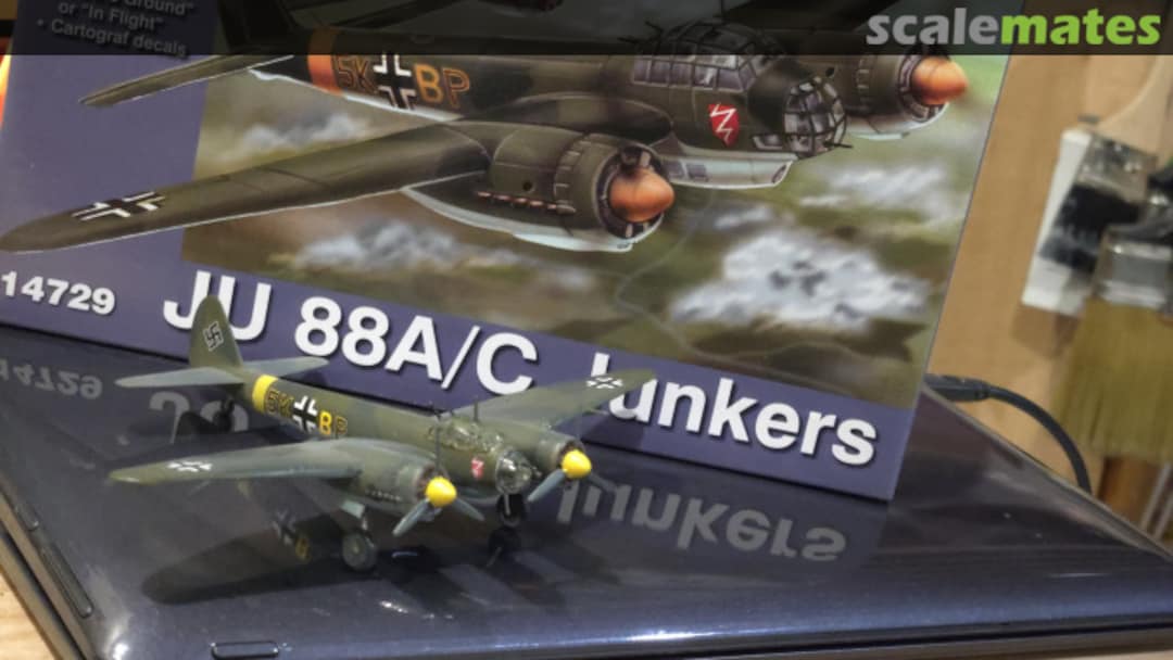 View album, image #25 View album, image #25