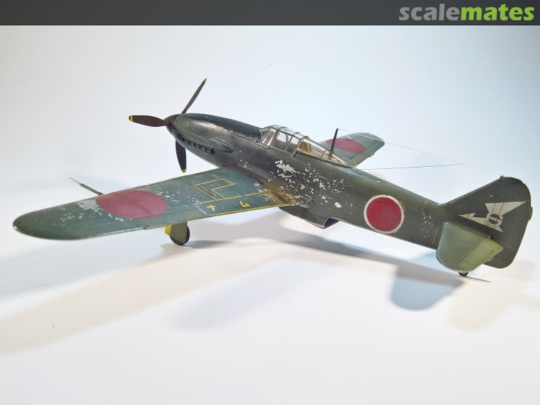 View album, image #15 View album, image #15