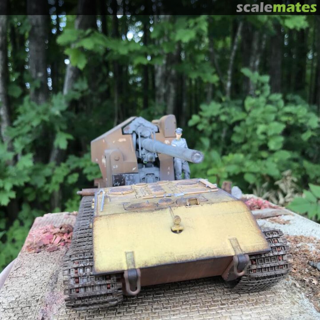 View album, image #1