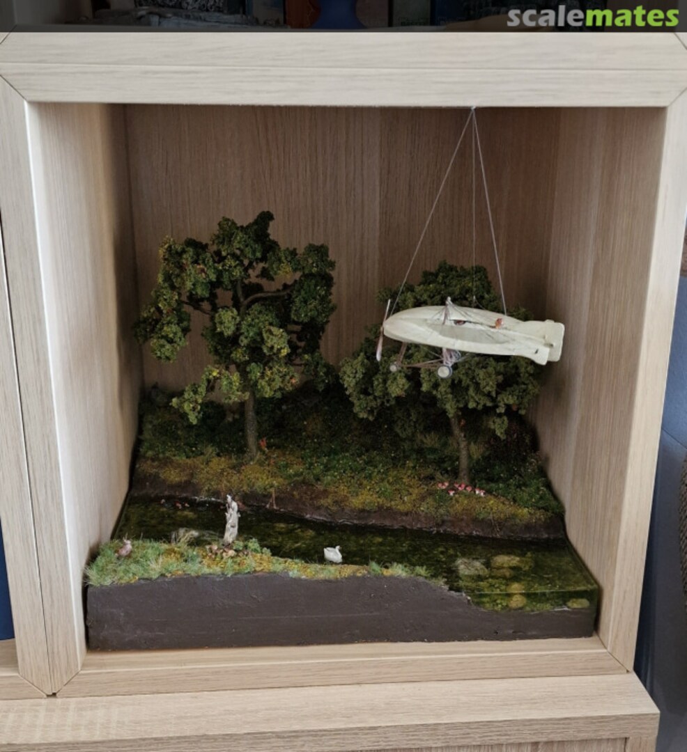 View album, image #20 View album, image #20