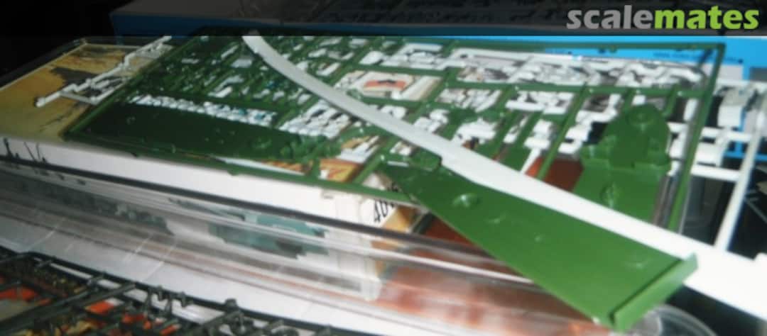 View album, image #1 View album, image #1