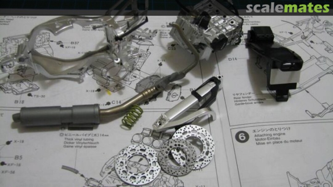 View album, image #1 View album, image #1