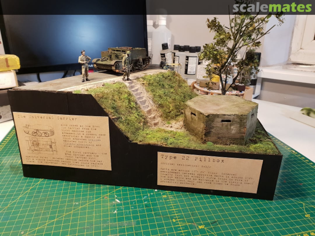 View album, image #5