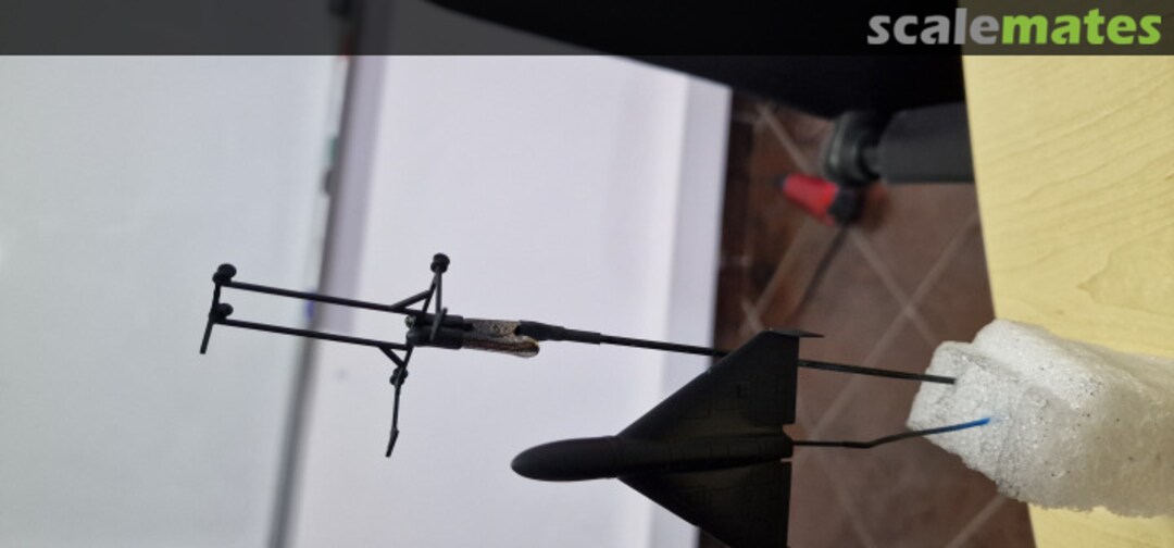 View album, image #1