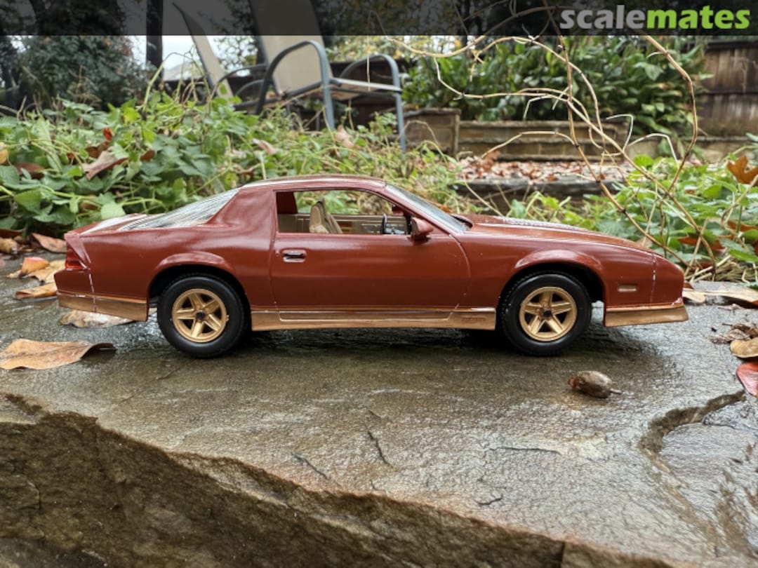 View album, image #1 View album, image #1