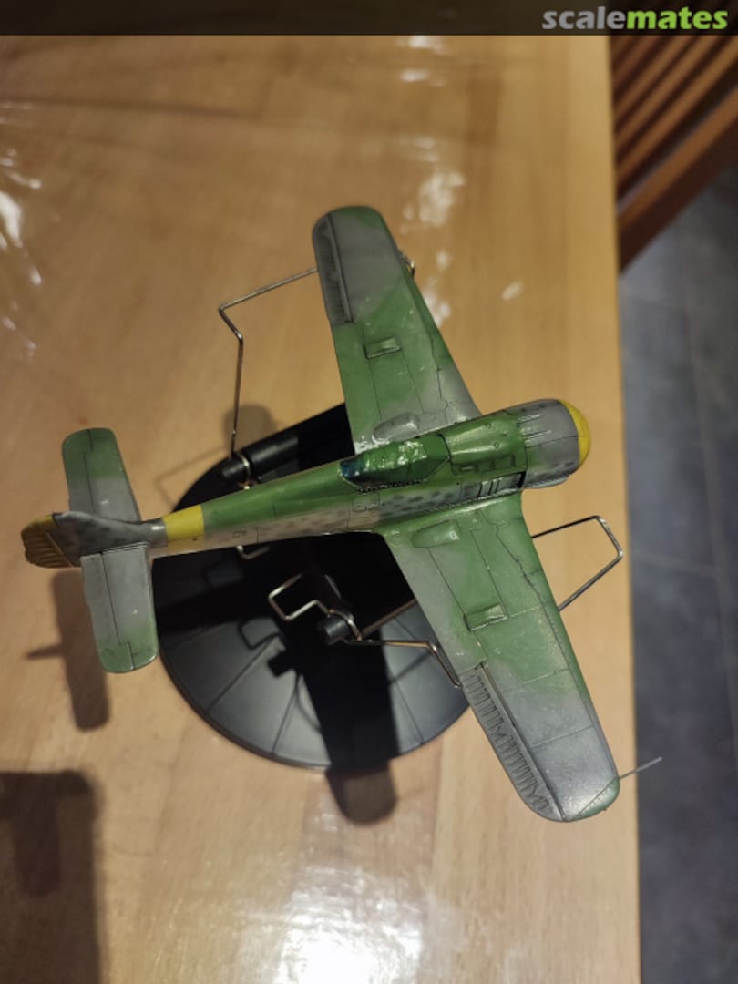 View album, image #24 View album, image #24