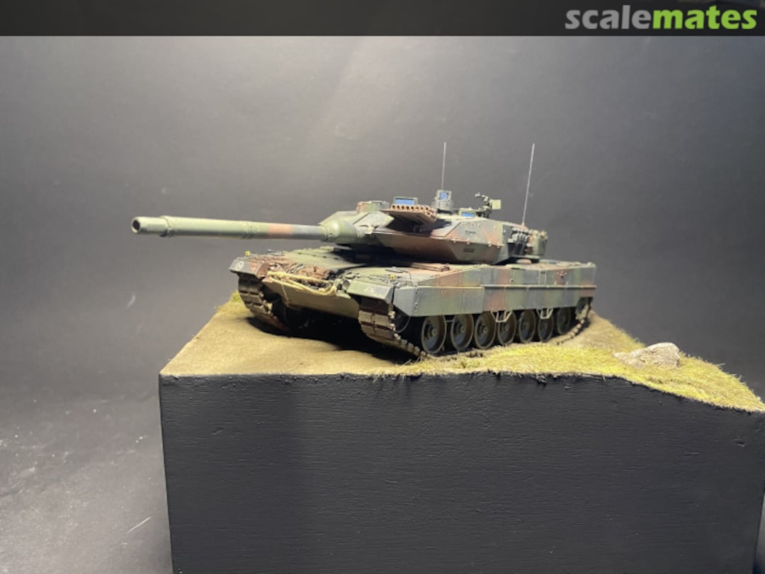 View album, image #1 View album, image #1