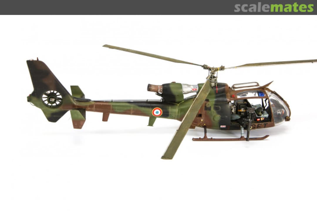 View album, image #1 View album, image #1