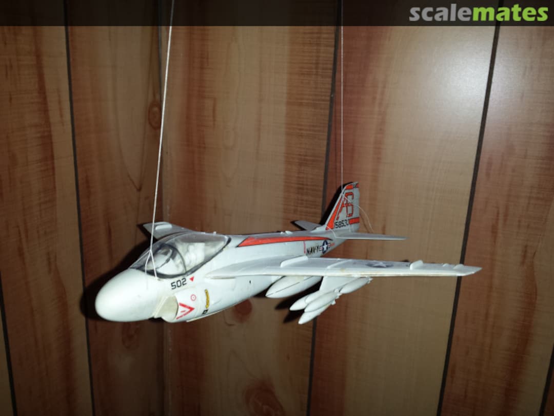 View album, image #1 View album, image #1