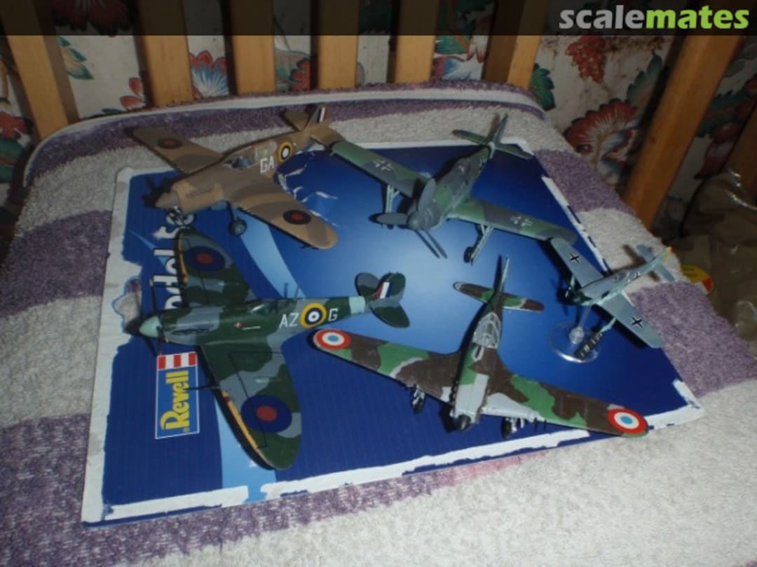 View album, image #1 View album, image #1