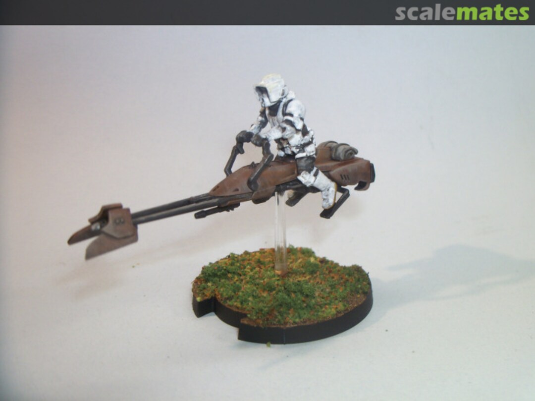 View album, image #1