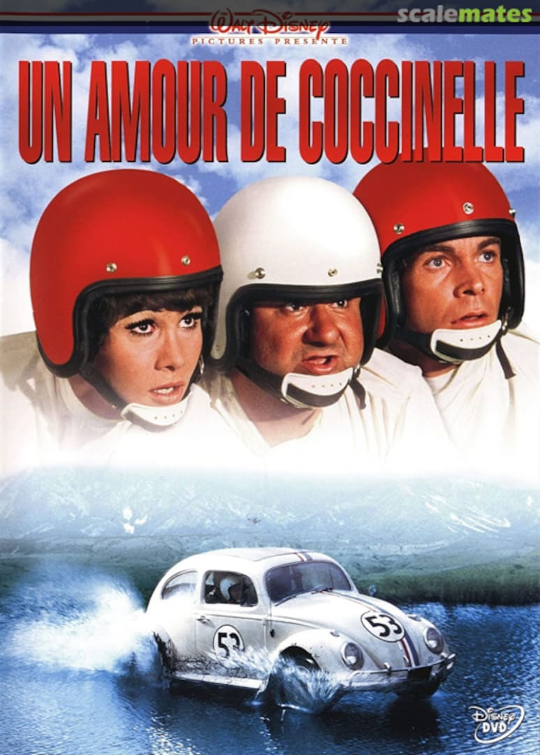 View album, image #1 View album, image #1